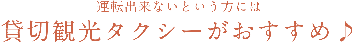 運転出来ないという方には貸切観光タクシーがおすすめ♪